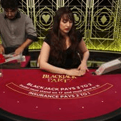 Blackjack Party screenshot